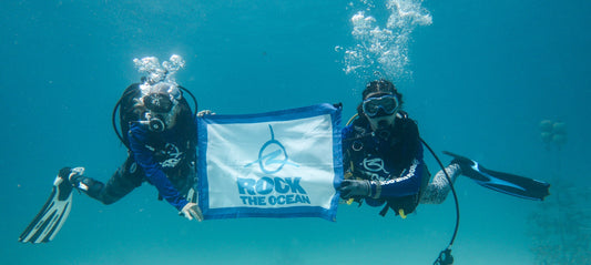 Month of Giving: Rock The Ocean