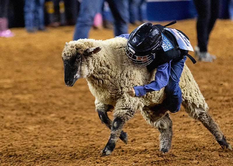 One Rodeo Win a Cody Johnson Flyaway Experience to the Houston Rodeo