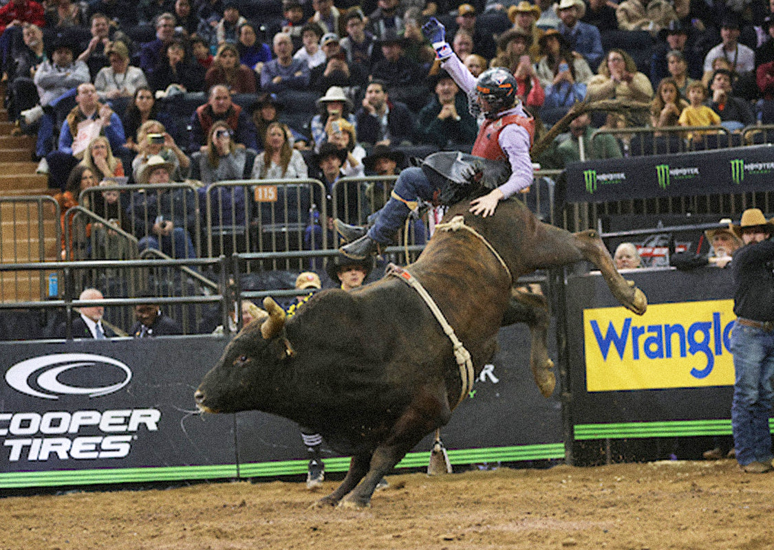 PBR in NYC